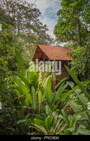 Guesthouse-Tortuguero aninga Evergreen Lodge, Nationalpark, Costa Rica Stockfoto