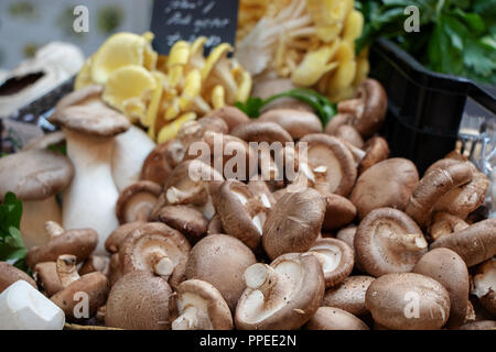 Bunte frische Pilze am Borough Market, London Stockfoto