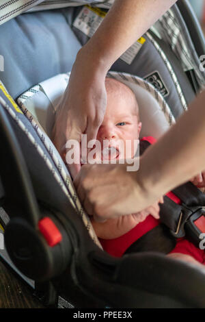 Wheat Ridge, Colorado - eine junge Frau setzt ihr neugeborenes Baby in einen Autositz. Stockfoto