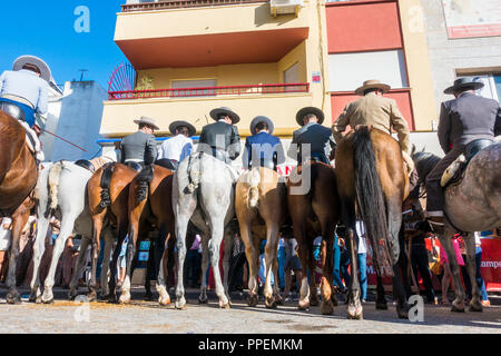Pferde und Reiter aufgereiht an der Bar, während der jährlichen Pferd Tag. Fuengirola, Andalusien, Spanien. Stockfoto
