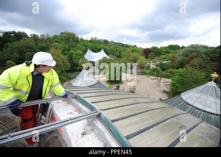 Das Elefantenhaus im Tierpark Hellabrunn, die Einsturzgefährdet war, ist komplett renoviert und eine neue Glaskuppel. Das Bild zeigt die Dickhäuter Haus auf den Tag, wenn die Kuppel gesprengt wurde. Stockfoto