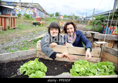 Die beiden Initiatoren Sofie Reindl (li.) und Silvia Haas, der die Grünen im Bezirk Isarvorstadt-Ludwigsvorstadt Ausschuss, bei der Arbeit in der Gemeinschaft garten auf dem ehemaligen Lagerplatz Gelände an der Bahnstrecke kurz vor der Braunauer Brücke dar. Stockfoto