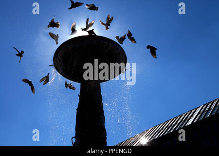 Der Brunnen Saison in München hat sich geöffnet. Tauben fliegen um das Richard-strauss-Brunnen in der Fußgängerzone in München. Stockfoto