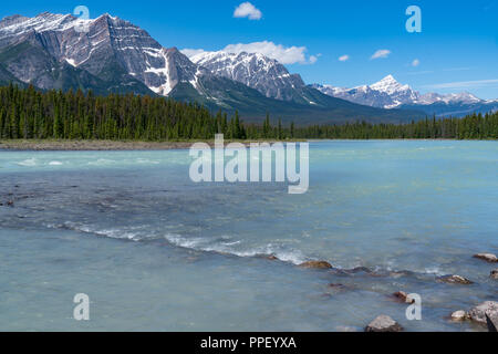Entlang des türkisfarbenen Wasser des Bow River im Jasper National Park, Alberta, Kanada Stockfoto