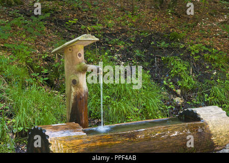 Holz- Brunnen auf dem Weg zum Frillensee in der Gemeinde Inzell, Chiemgau, Oberbayern, Deutschland Stockfoto