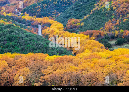 Luftaufnahme der Wald im Herbst in der Epirus Zagorochoria, Griechenland. Stockfoto