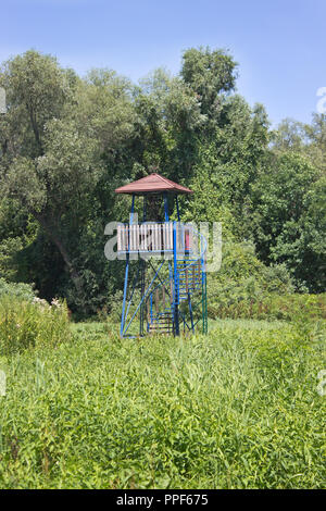 Vogelbeobachtung Turm in einem Wald Stockfoto