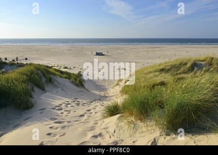 Pfad über einen sandigen Dünen auf der ostfriesischen Insel Juist führt zu dem breiten Badestrand und der Nordsee am Horizont, 27. Juni 2018 | Verwendung weltweit Stockfoto