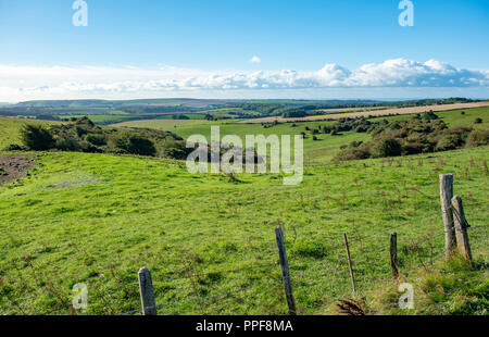 Blick entlang des South Downs Way in Ditchling Beacon Nördlich von Brighton, East Sussex UK Stockfoto