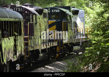 Zug Reiten durch die Berge in North Carolina Stockfoto