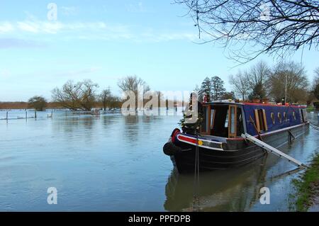 15-04 günstig im Winter auf überschwemmten oberen Fluss Themse in der Nähe von Eynsham, Oxfordshire Stockfoto