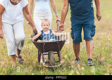 Familie drücken ihre kleinen Kinder und Enkel in einer Schubkarre Stockfoto