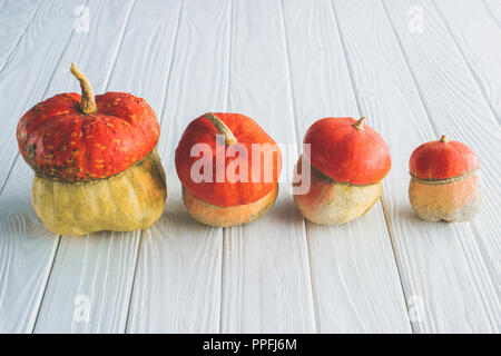 Kleine orange herbstliche Kürbisse in der Zeile auf hölzernen Tischplatte Stockfoto