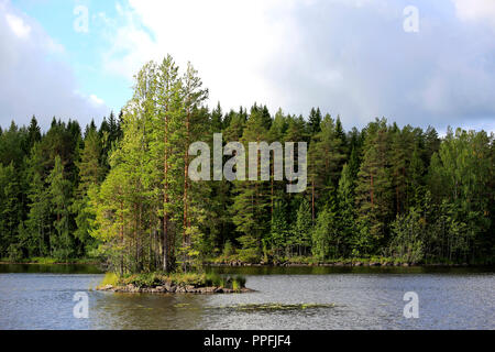 Small island on a quiet forest lake in Central Finland in early autumn. Stockfoto