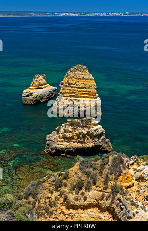 Felsformationen an Camilo Strand, Praia do Camilo, Lagos, Algarve, Portugal Stockfoto