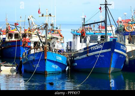 Fischerboote in der Bucht von Puerto del Hambre, in der Nähe von Punta Arenas, Patagonien, Chile Magallanes, Stockfoto