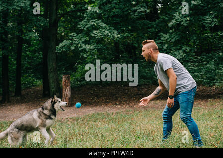 Junger Mann wirft Ball zu Husky Hund im Park Stockfoto