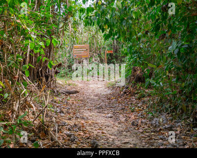 Kolumbien, Tayrona Nationalpark, Spaziergang weg im Dschungel Stockfoto