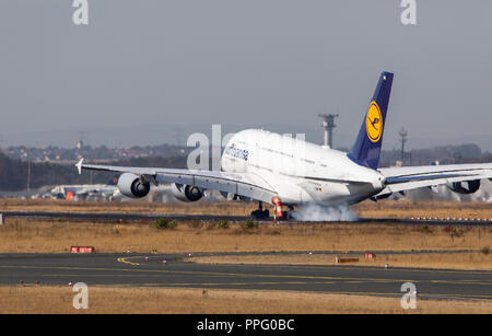 Flughafen Frankfurt/Main, FRA, Fraport, Lufthansa Airbus A380, nähern, Stockfoto