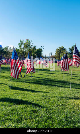 Reihen der amerikanischen Flagge auf grünem Gras unter einem blauen Himmel gepflanzt. Stockfoto