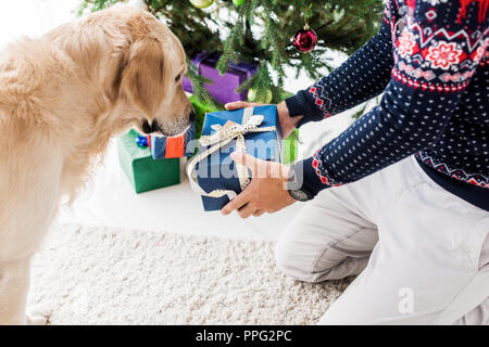 7/8-Ansicht des Menschen in Weihnachten, Geschenkbox Golden Retriever Stockfoto