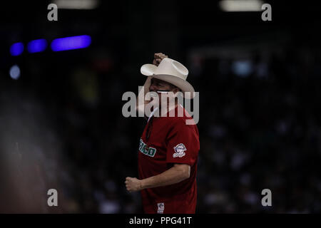 Aficionado que Viste de sombrero Vaquero y Jersey de Mexico anima a la afición, durante El Segundo partido Halbfinale de la Serie del Caribe en el Nue Stockfoto