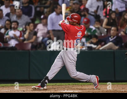 Eddie. Rosario de los Criollos de Caguas Puerto Rico, durante el Partido final de la Serie del Caribe en El Nuevo Estadio de los Tomateros de Cul Stockfoto