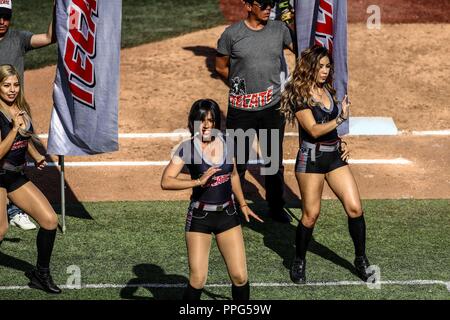 Animadoras, porritas chicas Tecate. . Acciones, durante el Partido de Beisbol entre Criollos de Caguas Puerto Rico contra las Águilas Cibaeñas de Stockfoto