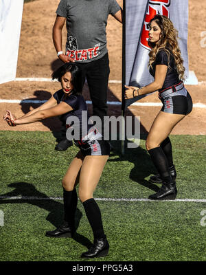 Animadoras, porritas chicas Tecate. . Acciones, durante el Partido de Beisbol entre Criollos de Caguas Puerto Rico contra las Águilas Cibaeñas de Stockfoto