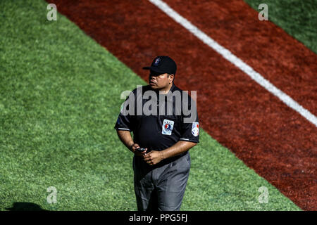 Ampayer. . Acciones, durante el Partido de Beisbol entre Criollos de Caguas Puerto Rico contra las Águilas Cibaeñas de Republica Dominicana, Duran Stockfoto