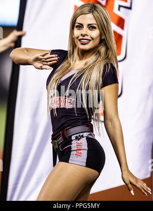 Edecanes o Chica Tecate. Acciones, durante el Partido de Beisbol de la Serie del Caribe con El Encuentro entre Tomateros de Culiacan Mexiko contra Stockfoto