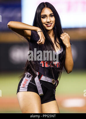 Edecanes o Chica Tecate. Acciones, durante el Partido de Beisbol de la Serie del Caribe con El Encuentro entre Tomateros de Culiacan Mexiko contra Stockfoto