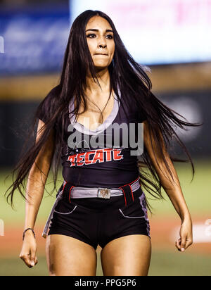 Edecanes o Chica Tecate. Acciones, durante el Partido de Beisbol de la Serie del Caribe con El Encuentro entre Tomateros de Culiacan Mexiko contra Stockfoto