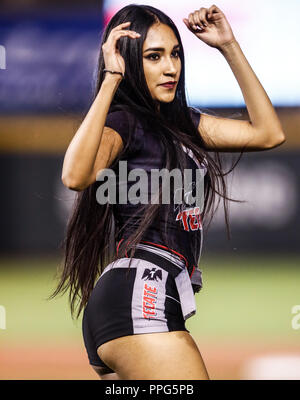 Edecanes o Chica Tecate. Acciones, durante el Partido de Beisbol de la Serie del Caribe con El Encuentro entre Tomateros de Culiacan Mexiko contra Stockfoto