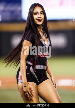 Edecanes o Chica Tecate. Acciones, durante el Partido de Beisbol de la Serie del Caribe con El Encuentro entre Tomateros de Culiacan Mexiko contra Stockfoto