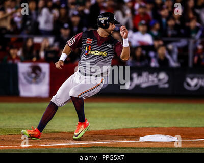 Acciones, durante el Partido de Beisbol de la Serie del Caribe con El Encuentro entre Tomateros de Culiacan Mexiko contra Los Caribes de Anzoátegui Stockfoto