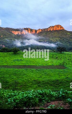 Rancho Santa Barbara y Reserva Monte Mojino de la Natürliche Kultur International (NCI). Bereich de protegida. Reserva Natural de la Sierra de Alamos, Sono Stockfoto