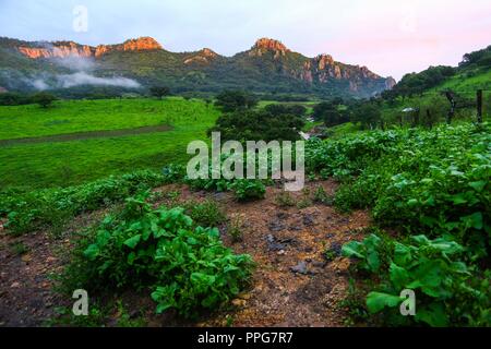 Rancho Santa Barbara y Reserva Monte Mojino de la Natürliche Kultur International (NCI). Bereich de protegida. Reserva Natural de la Sierra de Alamos, Sono Stockfoto