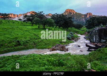 Rancho Santa Barbara y Reserva Monte Mojino de la Natürliche Kultur International (NCI). Bereich de protegida. Reserva Natural de la Sierra de Alamos, Sono Stockfoto