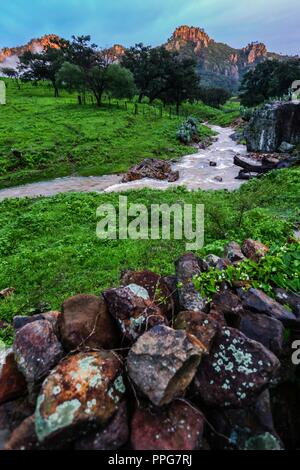 Rancho Santa Barbara y Reserva Monte Mojino de la Natürliche Kultur International (NCI). Bereich de protegida. Reserva Natural de la Sierra de Alamos, Sono Stockfoto