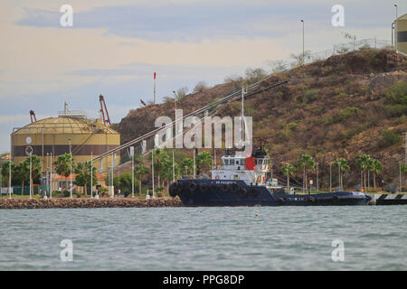 Bericht der Fischerhafen von Guaymas Sonora. Reportaje del Puerto pesquero de Guaymas Sonora. Stockfoto