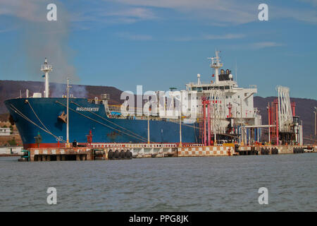 Bericht der Fischerhafen von Guaymas Sonora. Reportaje del Puerto pesquero de Guaymas Sonora. Stockfoto