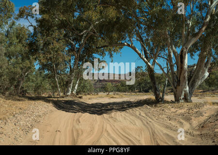 Straße in das Palm Valley, MacDonnell Ranges, Nothern Territory, Australien Stockfoto