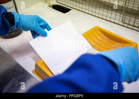 Forensische Labor Officer Prüfung poröses Papier für latente Fingerabdrücke mithilfe der chemischen Ninhydrin im Rahmen der fortlaufenden Prüfung Stockfoto