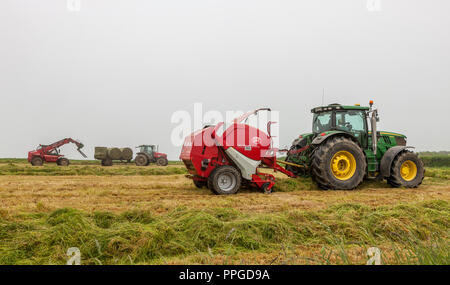 Alten Kopf von Kinsale, Cork, Irland. 01 Juni, 2018. Speichern von Silage bei gutem Wetter auf dem Hof von Brian und J.J. Downey am Alten Leiter der Kin Stockfoto