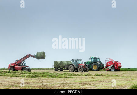 Alten Kopf von Kinsale, Cork, Irland. 01 Juni, 2018. Speichern von Silage bei gutem Wetter auf dem Hof von Brian und J.J. Downey am Alten Leiter der Kin Stockfoto