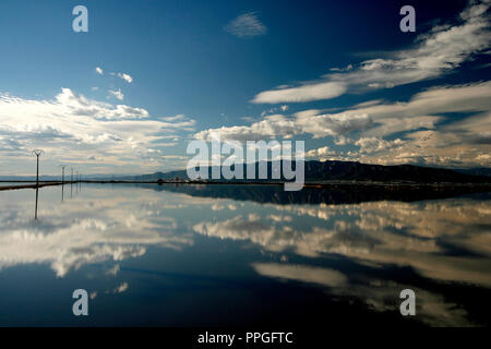 Delta del Ebre. Tarragona. Katalonien. Spanien Stockfoto