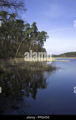 Lagune Jeżewo auf die Pogona River. Jeżewo Zalew na rzece Pogona. Großpolen, Polen Stockfoto