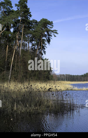 Lagune Jeżewo auf die Pogona River. Jeżewo Zalew na rzece Pogona. Großpolen, Polen Stockfoto