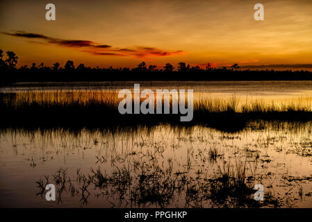 Sonnenuntergang an der Kiefer Lichtungen See in den Everglades National Park Stockfoto